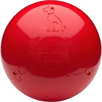 Company of animals Boomer Ball