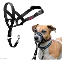 Halti Headcollar