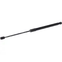 FEBI BILSTEIN 198010 Gasveer achterklep
