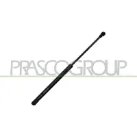 PRASCO VG9049001 Gasveer motorkap