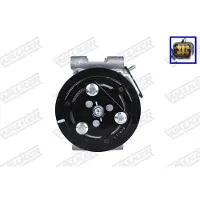 Walker WCP00008 Aircopomp