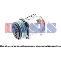 AKS DASIS 850879N Aircopomp