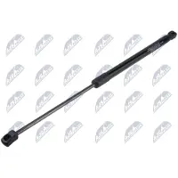 NTY AE-NS-035 Gasveer achterklep