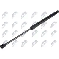NTY AE-HD-036 Gasveer achterklep