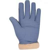 Hv Polo Handschoenen hvpgarnet