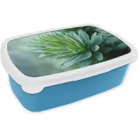 MuchoWow Broodtrommel Blauw - Lunchbox Blad - Plant - Groen - Textuur - Brooddoos 18x12x6 cm - Brood lunch box - Broodtrommels voor kinderen en volwassenen