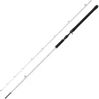 Abu Garcia Beast X2 Baitcasting Rod Zilver 2.59 m / 60-180 g