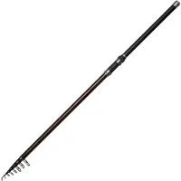 Dam Backbone Ii Stellfisch Carpfishing Rod Zilver 6.00 m / 50-100 g
