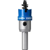 Bosch EXPERT Sheet Metal Gatzaag met adapter | 20 x 5 mm - 2608901976