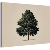 MuchoWow Aluminium schilderij 180x120 cm - Wanddecoratie metaal - Eikenboom - Schaduw - Egaal - Metalen muurdecoratie woonkamer - Decoratie industrieel - Foto op dibond - Industriële accessoires slaapkamer