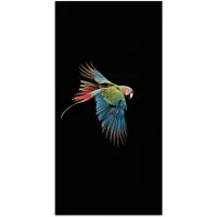 PosterMonkey Poster 80x160 cm - Papegaai - Kleurrijk - Vleugels - Sierlijk - Posters - Kamer decoratie - Wanddecoratie woonkamer - Muurdecoratie slaapkamer
