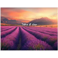 PosterMonkey Poster 80x60 cm - Lavendelveld - Quote - Zonsondergang - Posters - Kamer decoratie - Wanddecoratie woonkamer - Muurdecoratie slaapkamer