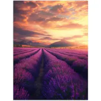PosterMonkey Poster 90x120 cm - Lavendelveld - Zonsondergang - Paars - Posters - Kamer decoratie - Wanddecoratie woonkamer - Muurdecoratie slaapkamer