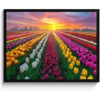 PosterMonkey Poster in lijst - Fotolijst 80x60 cm - Posters - Tulpenveld - Zonsondergang - Kleurrijk - Posterlijst zwart - Decoratie - Wanddecoratie woonkamer - Muurdecoratie slaapkamer