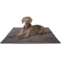 Knuffelwuff Cord Hondenkleed Timor 100x70cm bruingrijs