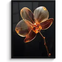 PosterMonkey Poster in lijst - Fotolijst 60x80 cm - Posters - Orchidee - Doorzichtig - Bloem - Posterlijst zwart - Decoratie - Wanddecoratie woonkamer - Muurdecoratie slaapkamer