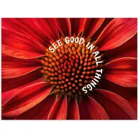 PosterMonkey Poster 120x90 cm - Close up - Bloem - Quote - Rood - Posters - Kamer decoratie - Wanddecoratie woonkamer - Muurdecoratie slaapkamer