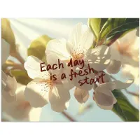 PosterMonkey Poster 120x90 cm - Bloesems - Zonlicht - Quote - Wit - Posters - Kamer decoratie - Wanddecoratie woonkamer - Muurdecoratie slaapkamer