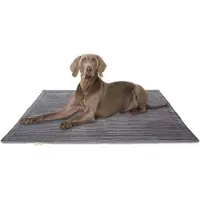 Knuffelwuff Cord Hondenkleed Timor 80x60cm Grijs