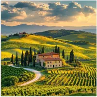 PosterMonkey Poster 100x100 cm - Toscane - Landschap - Wijngaarden - Posters - Kamer decoratie - Wanddecoratie woonkamer - Muurdecoratie slaapkamer XXL