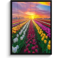 PosterMonkey Poster in lijst - Fotolijst 60x80 cm - Posters - Tulpenveld - Zonsondergang - Kleurrijk - Posterlijst zwart - Decoratie - Wanddecoratie woonkamer - Muurdecoratie slaapkamer