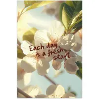 PosterMonkey Poster 80x120 cm - Bloesems - Zonlicht - Quote - Wit - Posters - Kamer decoratie - Wanddecoratie woonkamer - Muurdecoratie slaapkamer