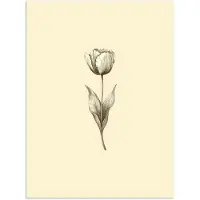 PosterMonkey Poster 120x160 cm - Illustratie - Tulp - Zwart - Posters - Kamer decoratie - Wanddecoratie woonkamer - Muurdecoratie slaapkamer XXL