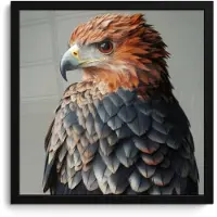 PosterMonkey Poster in lijst - Fotolijst 40x40 cm - Posters - Vogel - Realistisch - Veren - Bruin - Posterlijst zwart - Decoratie - Wanddecoratie woonkamer - Muurdecoratie slaapkamer
