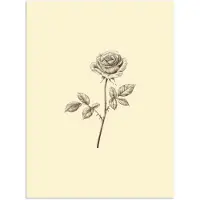 PosterMonkey Poster 60x80 cm - Illustratie - Zwart - Roos - Posters - Kamer decoratie - Wanddecoratie woonkamer - Muurdecoratie slaapkamer