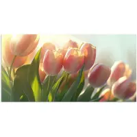PosterMonkey Poster 160x80 cm - Tulpen - Roze - Zonnestralen - Posters - Kamer decoratie - Wanddecoratie woonkamer - Muurdecoratie slaapkamer