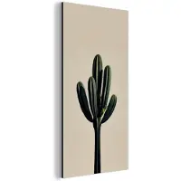 MuchoWow Aluminium schilderij 80x160 cm - Wanddecoratie metaal - Cactus - Subtiel - Groen - Metalen muurdecoratie woonkamer - Decoratie industrieel - Foto op dibond - Industriële accessoires slaapkamer