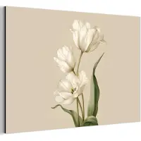 MuchoWow Aluminium schilderij 180x120 cm - Wanddecoratie metaal - Tulpen - Wit - Bladeren - Metalen muurdecoratie woonkamer - Decoratie industrieel - Foto op dibond - Industriële accessoires slaapkamer
