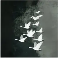 PosterMonkey Poster 50x50 cm - Vogel - Japandi - Groen - Posters - Kamer decoratie - Wanddecoratie woonkamer - Muurdecoratie slaapkamer