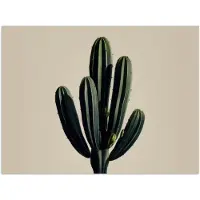 PosterMonkey Poster 160x120 cm - Cactus - Subtiel - Groen - Posters - Kamer decoratie - Wanddecoratie woonkamer - Muurdecoratie slaapkamer XXL