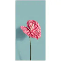 PosterMonkey Poster 80x160 cm - Blad - Anthurium - Stippen - Roze - Posters - Kamer decoratie - Wanddecoratie woonkamer - Muurdecoratie slaapkamer