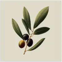 PosterMonkey Poster 30x30 cm - Olijftak - Donkergroen - Olijven - Posters - Kamer decoratie - Wanddecoratie woonkamer - Muurdecoratie slaapkamer