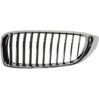 BLIC Radiatorrooster 6502-07-0070997P links