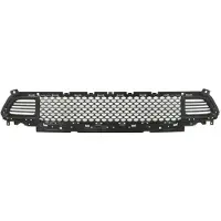 BLIC 6502-07-3208913P Ventilatiegrille, bumper
