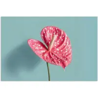 PosterMonkey Poster 120x80 cm - Blad - Anthurium - Stippen - Roze - Posters - Kamer decoratie - Wanddecoratie woonkamer - Muurdecoratie slaapkamer