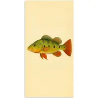 PosterMonkey Poster 20x40 cm - Schubben - Vis - Groen - Illustratie - Posters - Kamer decoratie - Wanddecoratie woonkamer - Muurdecoratie slaapkamer
