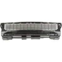 BLIC Ventilatierooster, bumper 6502-07-3506910P