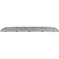 BLIC Sierlijst/beschermstrip, radiatorrooster 6502-07-3560912P