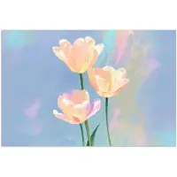 PosterMonkey Poster 120x80 cm - Tulpen - Roze accenten - Blauw - Posters - Kamer decoratie - Wanddecoratie woonkamer - Muurdecoratie slaapkamer