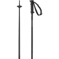 Salomon Polar Access, skistokken, zwart