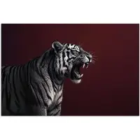 PosterMonkey Poster 90x60 cm - Tijger - Brult - Bordeaux - Posters - Kamer decoratie - Wanddecoratie woonkamer - Muurdecoratie slaapkamer