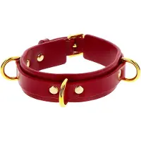 Taboom D-Ring Collar Deluxe - Rood