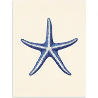 PosterMonkey Poster 120x160 cm - Blauwe zeester - Minimalistisch - Beige - Posters - Kamer decoratie - Wanddecoratie woonkamer - Muurdecoratie slaapkamer XXL