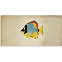 PosterMonkey Poster 160x80 cm - Kleurrijk - Vis - Schubben - Illustratie - Posters - Kamer decoratie - Wanddecoratie woonkamer - Muurdecoratie slaapkamer
