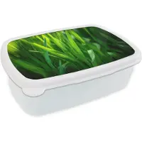 MuchoWow Broodtrommel Wit - Lunchbox Grassprieten - Lichtinval - Groen - Brooddoos 18x12x6 cm - Brood lunch box - Broodtrommels voor kinderen en volwassenen