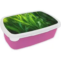 MuchoWow Broodtrommel Roze - Lunchbox Grassprieten - Lichtinval - Groen - Brooddoos 18x12x6 cm - Brood lunch box - Broodtrommels voor kinderen en volwassenen